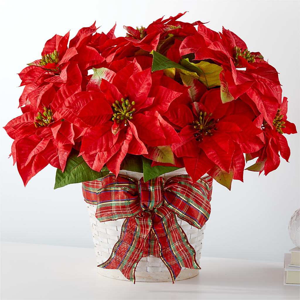 Happiest Holidays Poinsettia – Oliverios Florist, Bridgeport WV