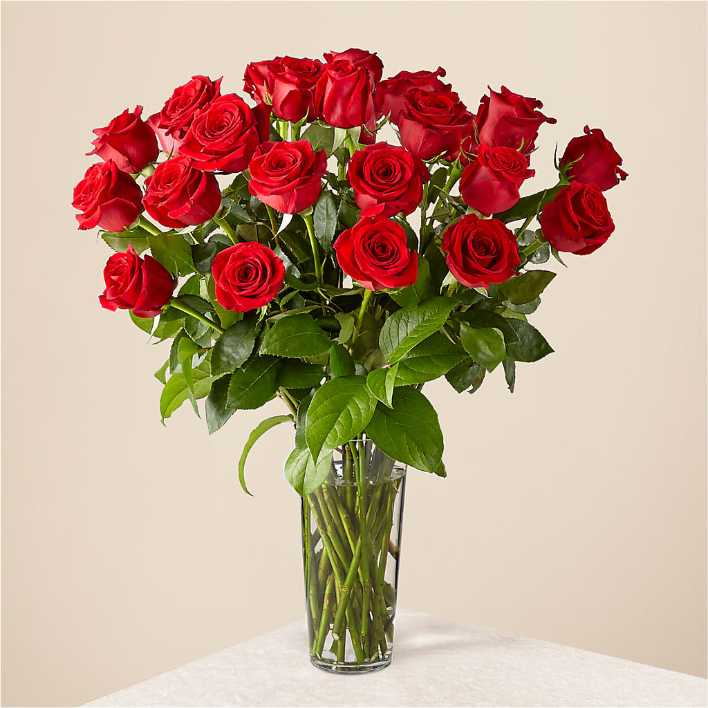 Long Stem Red Rose Bouquet – Oliverios Florist, Bridgeport WV