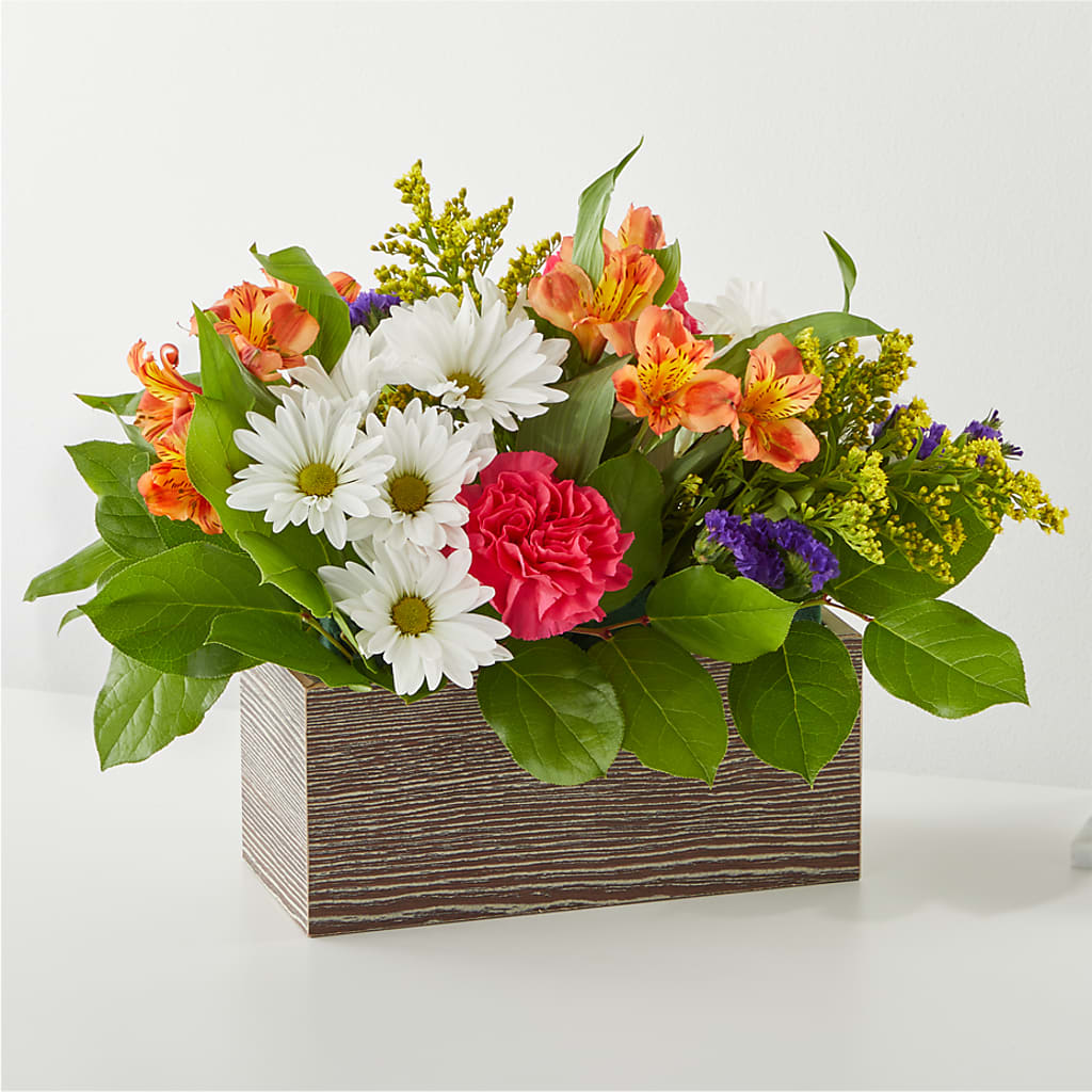 Oopsie Daisy Box Bouquet – Oliverios Florist, Bridgeport WV