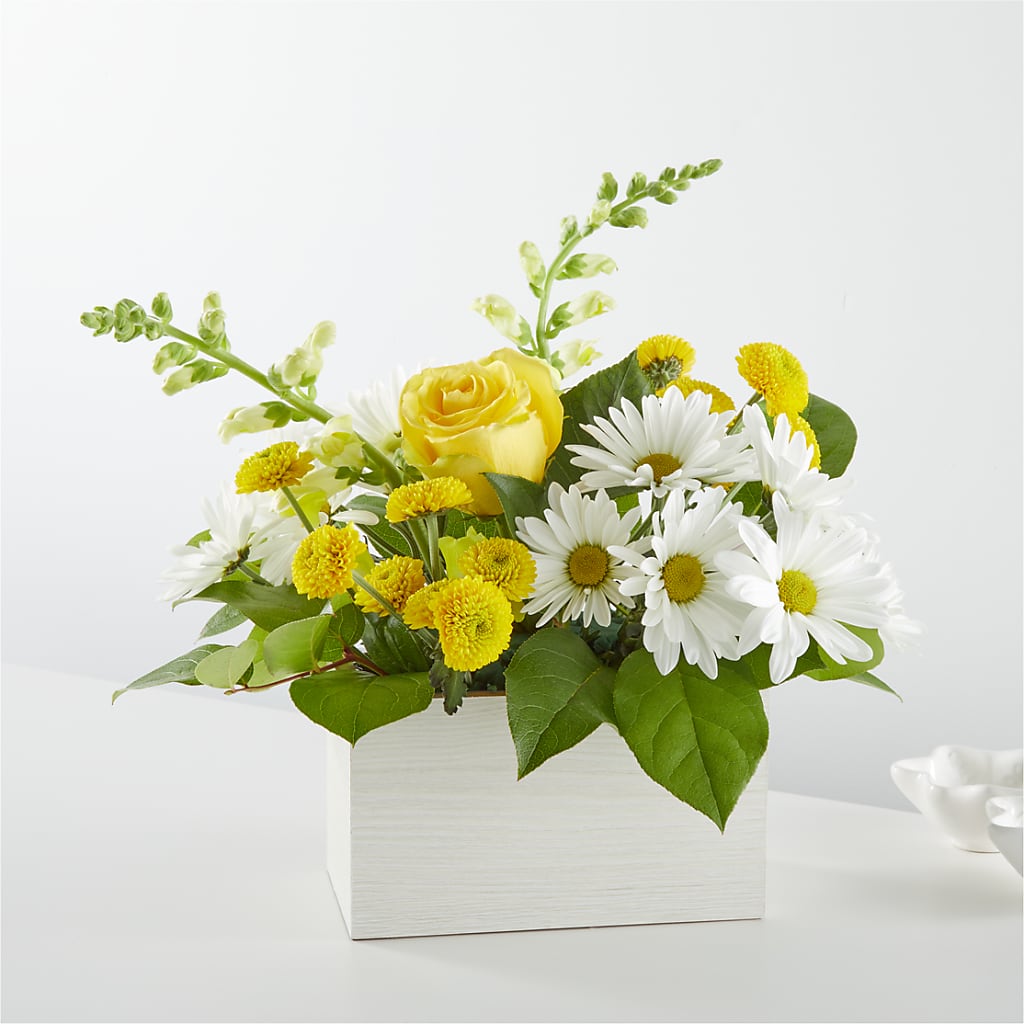 Sun Salutation Box Bouquet – Oliverios Florist, Bridgeport WV
