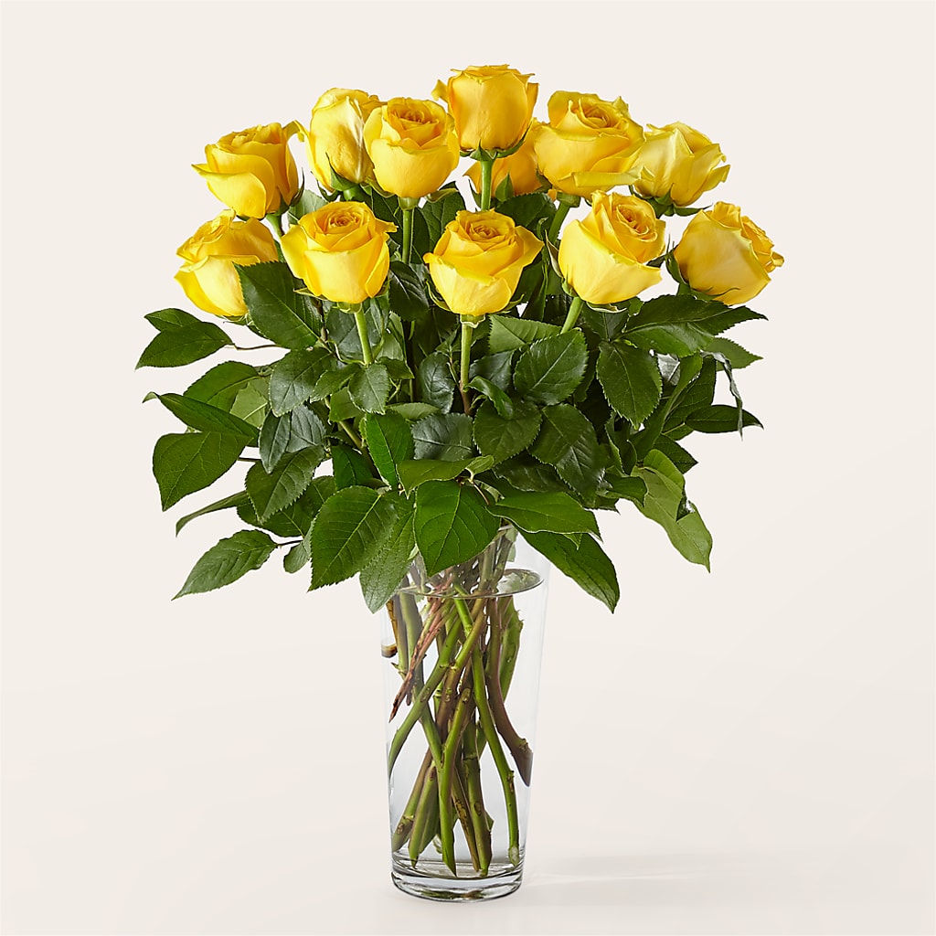 Long Stem Yellow Rose Bouquet – Oliverios Florist, Bridgeport WV
