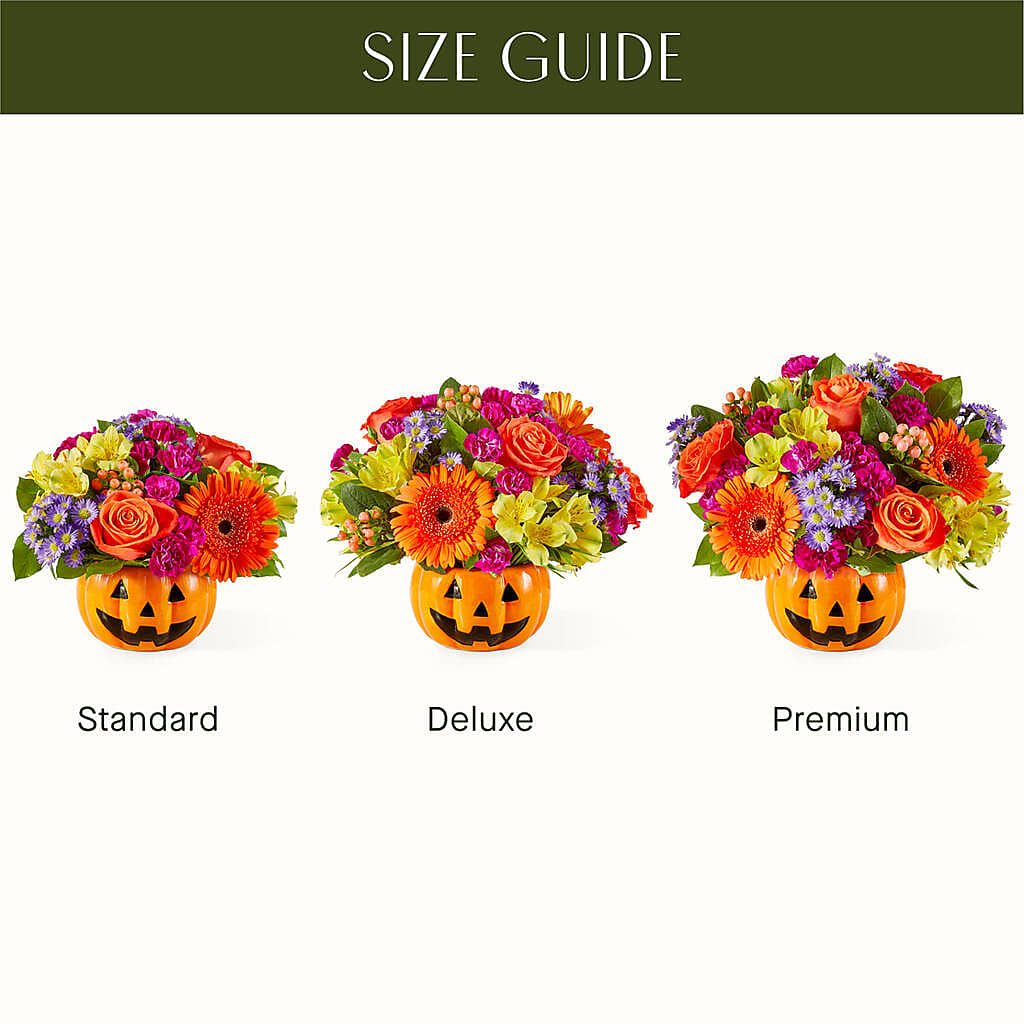 Tricks & Treats Pumpkin – Oliverios Florist, Bridgeport WV