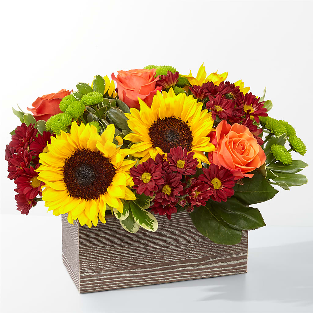 Happy Harvest Garden – Oliverios Florist, Bridgeport WV
