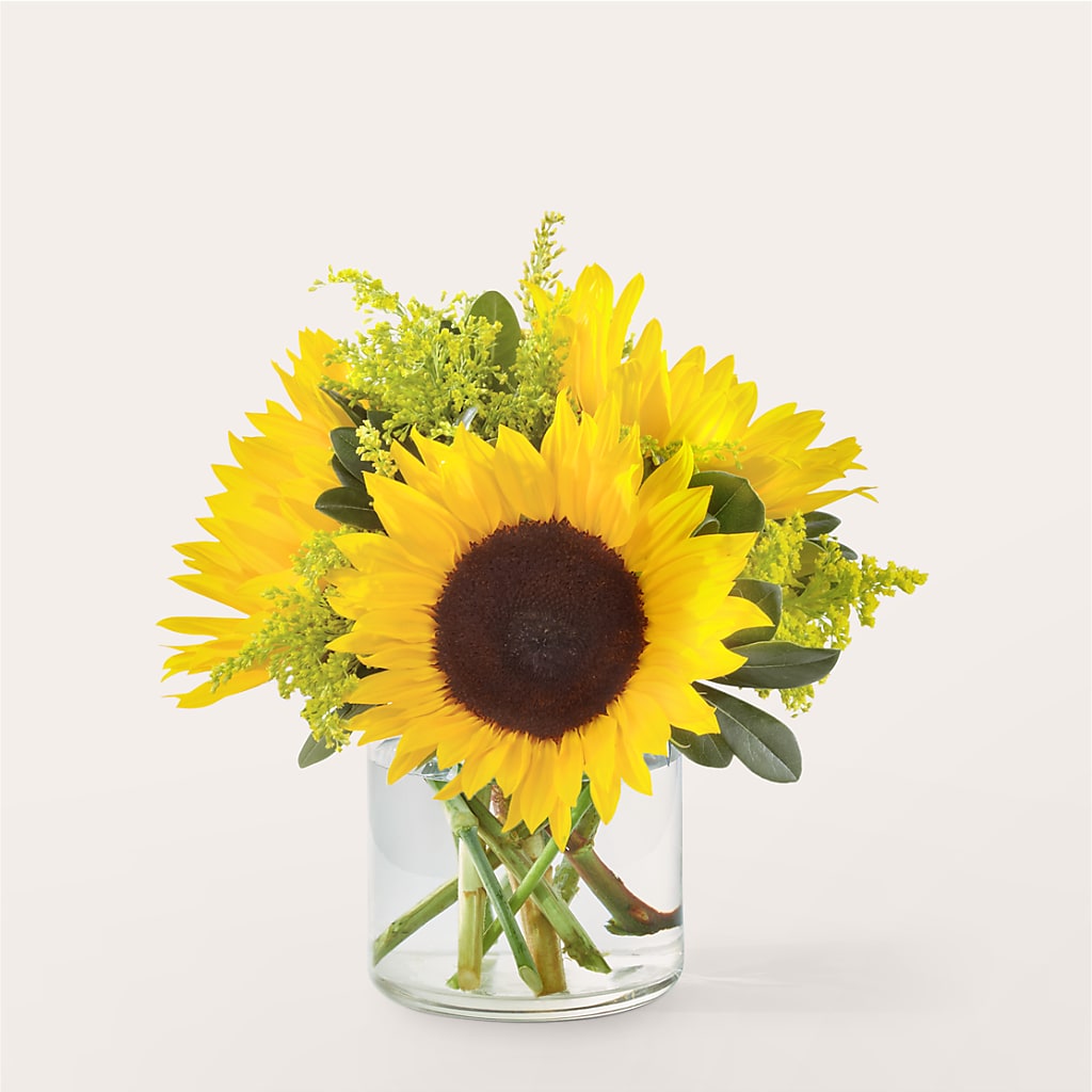 Beaming Sunflower Bouquet – Oliverios Florist, Bridgeport WV