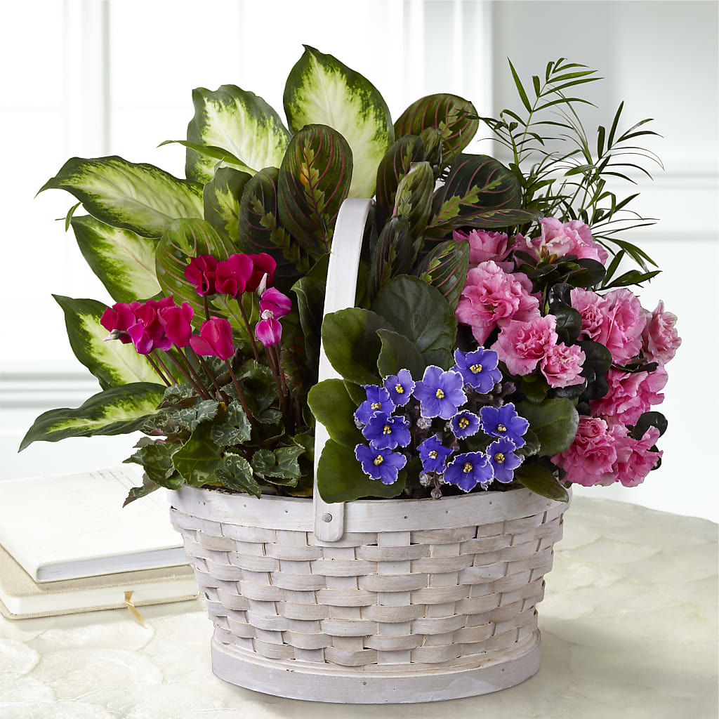 Peaceful Garden Planter – Oliverios Florist, Bridgeport WV