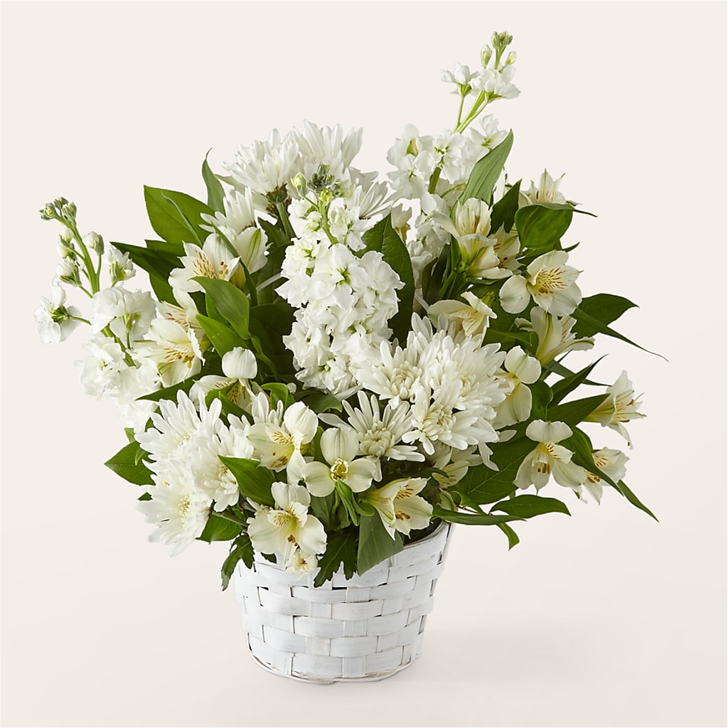 Eternal Affection Arrangement – Oliverios Florist, Bridgeport WV
