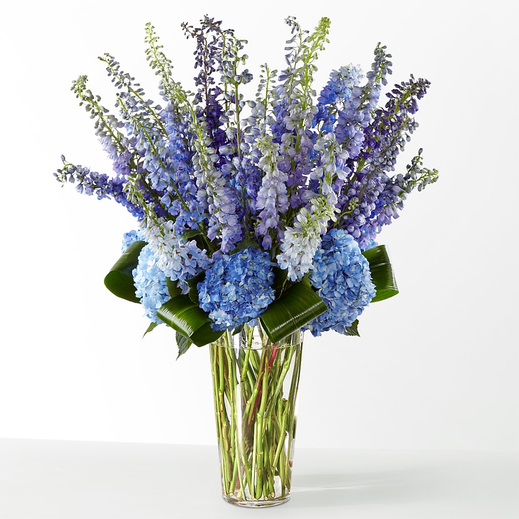 The Editorial – Oliverios Florist, Bridgeport WV
