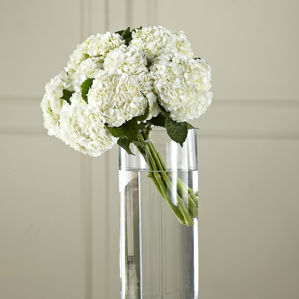 White Hydrangea Hand-Tied Bouquet – Oliverios Florist, Bridgeport WV