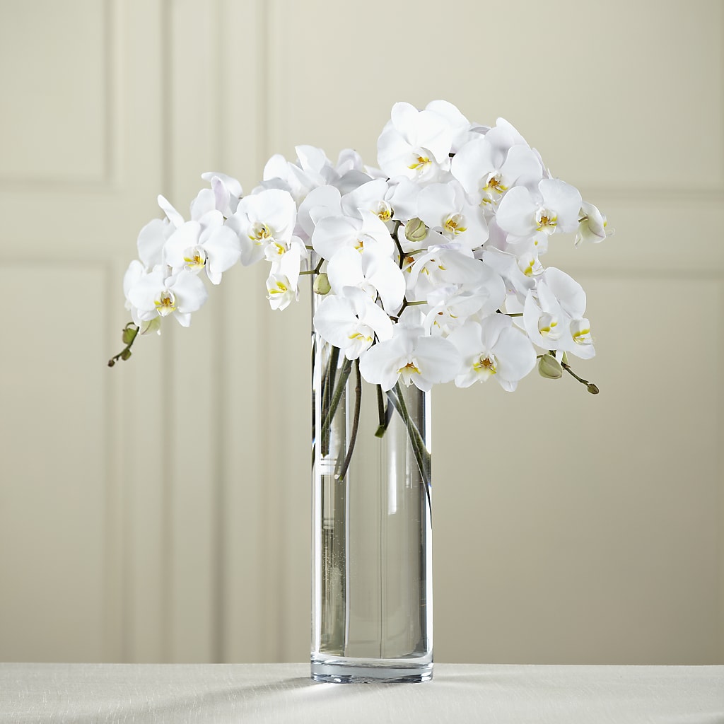 White Phalaenopsis Bouquet – Oliverios Florist, Bridgeport WV
