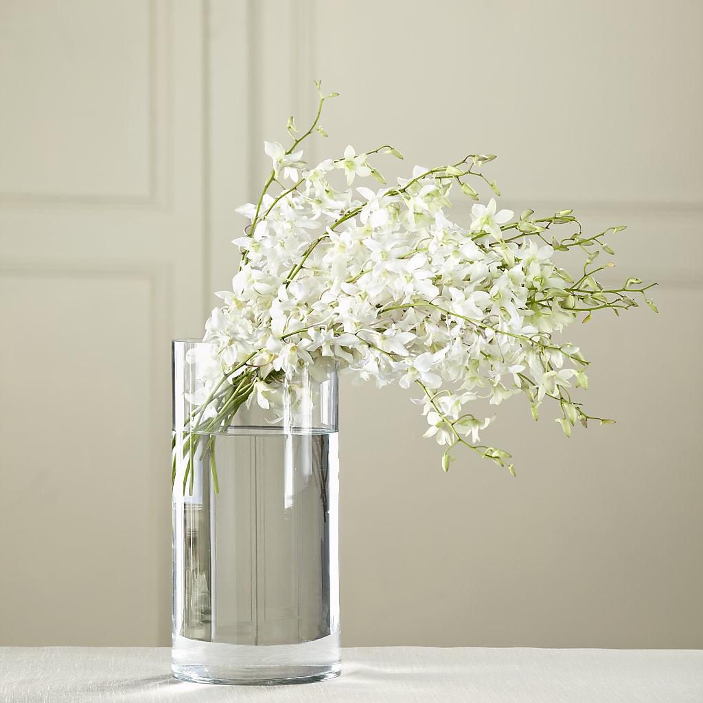White Dendrobium Bouquet – Oliverios Florist, Bridgeport WV