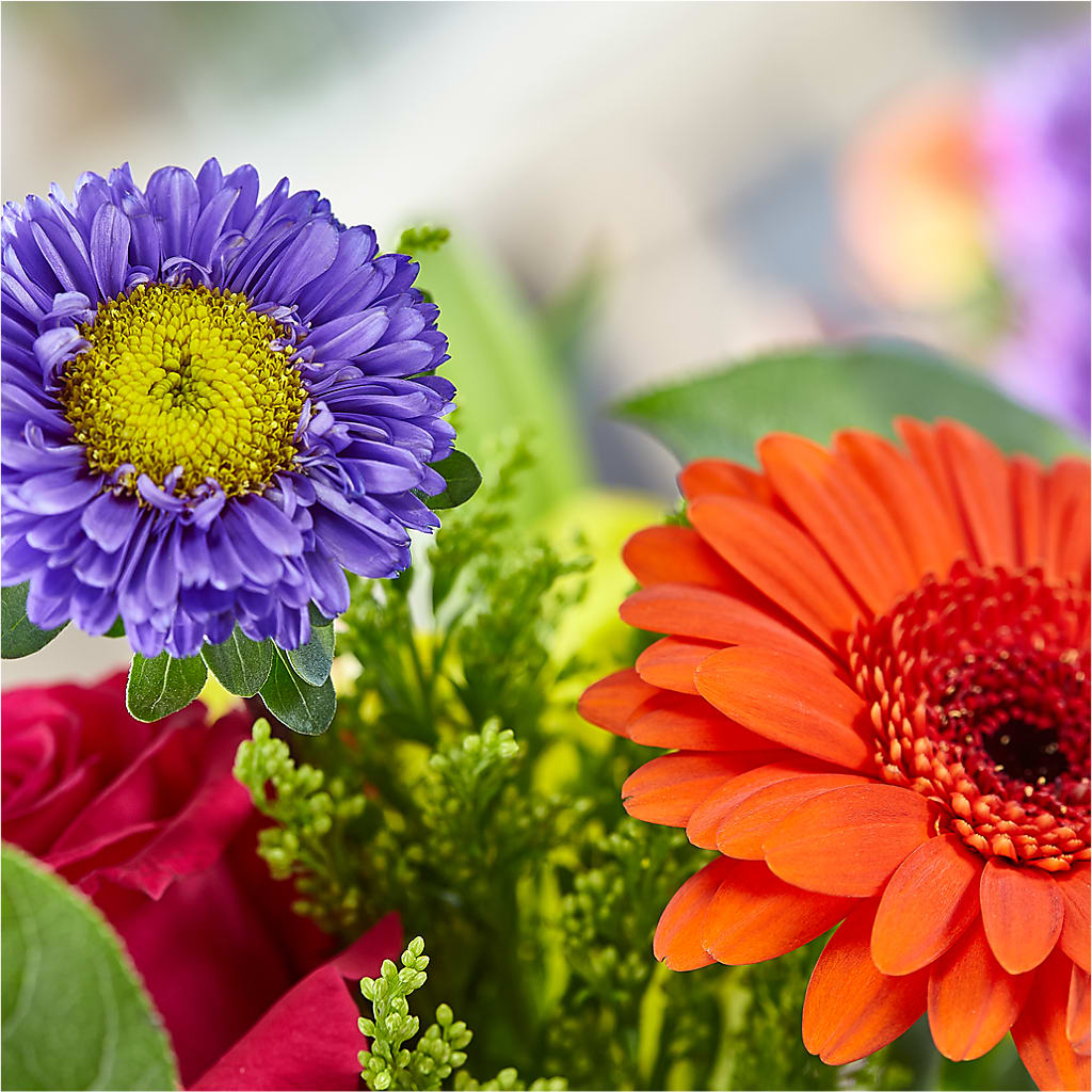 Bold & Bright – A Florist Original –  Oliverios Florist, Bridgeport WV