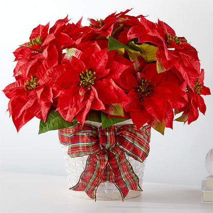 Happiest Holidays Poinsettia –  Oliverios Florist, Bridgeport WV