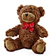 Adorable Plush Bear –  Oliverios Florist, Bridgeport WV