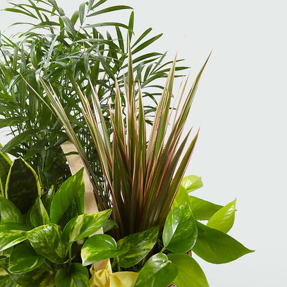 French Garden –  Oliverios Florist, Bridgeport WV
