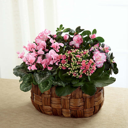 Pink Assortment –  Oliverios Florist, Bridgeport WV