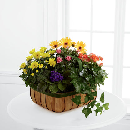 Gentle Blossoms Basket –  Oliverios Florist, Bridgeport WV