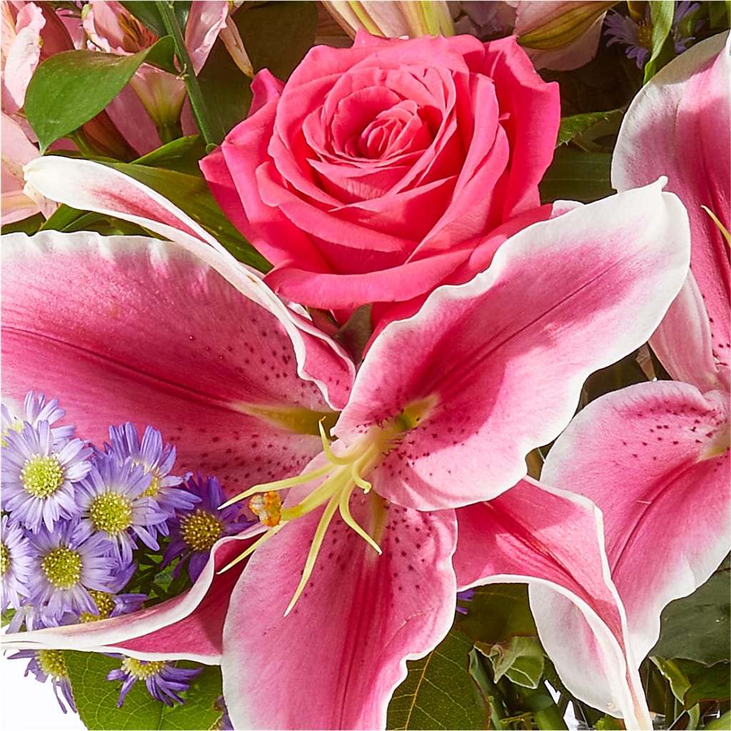 Written in the Stars Bouquet –  Oliverios Florist, Bridgeport WV
