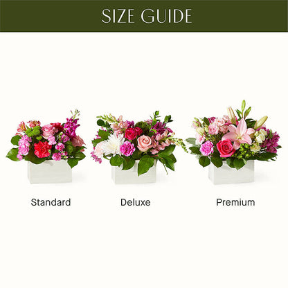 Sweetberry Box – A Florist Original –  Oliverios Florist, Bridgeport WV