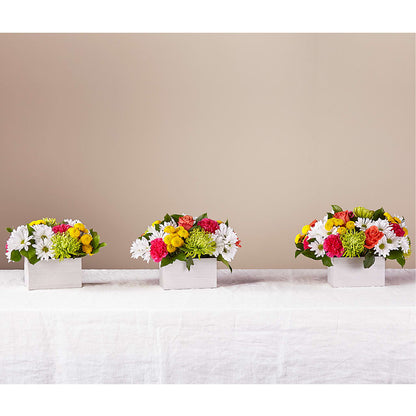 Sorbet Bouquet –  Oliverios Florist, Bridgeport WV
