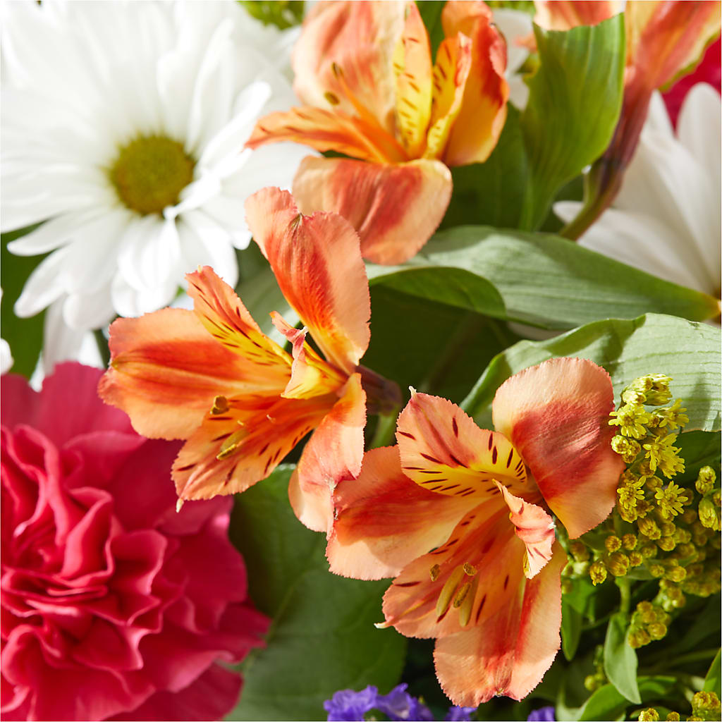 Oopsie Daisy Box Bouquet –  Oliverios Florist, Bridgeport WV