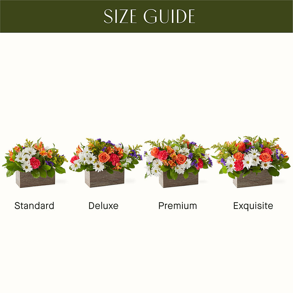 Oopsie Daisy Box Bouquet –  Oliverios Florist, Bridgeport WV