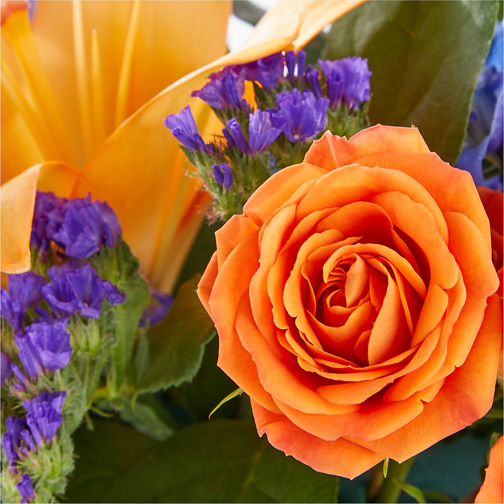 Radiant Citrus Box Bouquet –  Oliverios Florist, Bridgeport WV