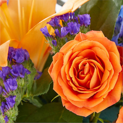 Radiant Citrus Box Bouquet –  Oliverios Florist, Bridgeport WV