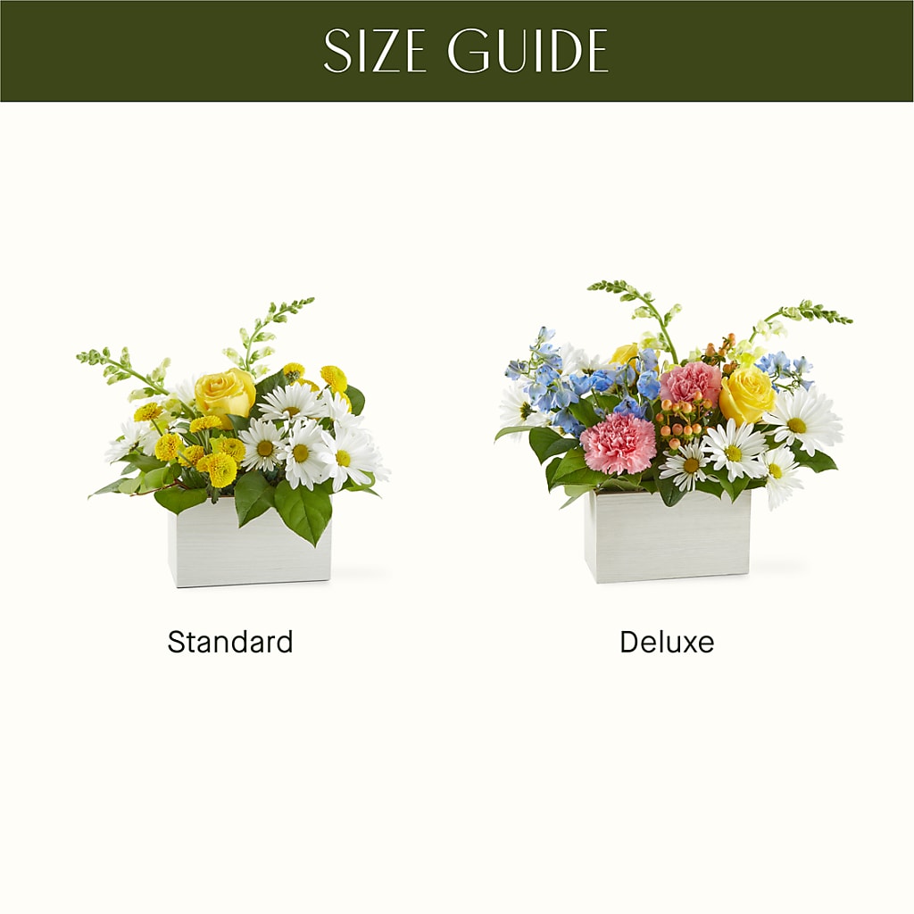 Sun Salutation Box Bouquet –  Oliverios Florist, Bridgeport WV