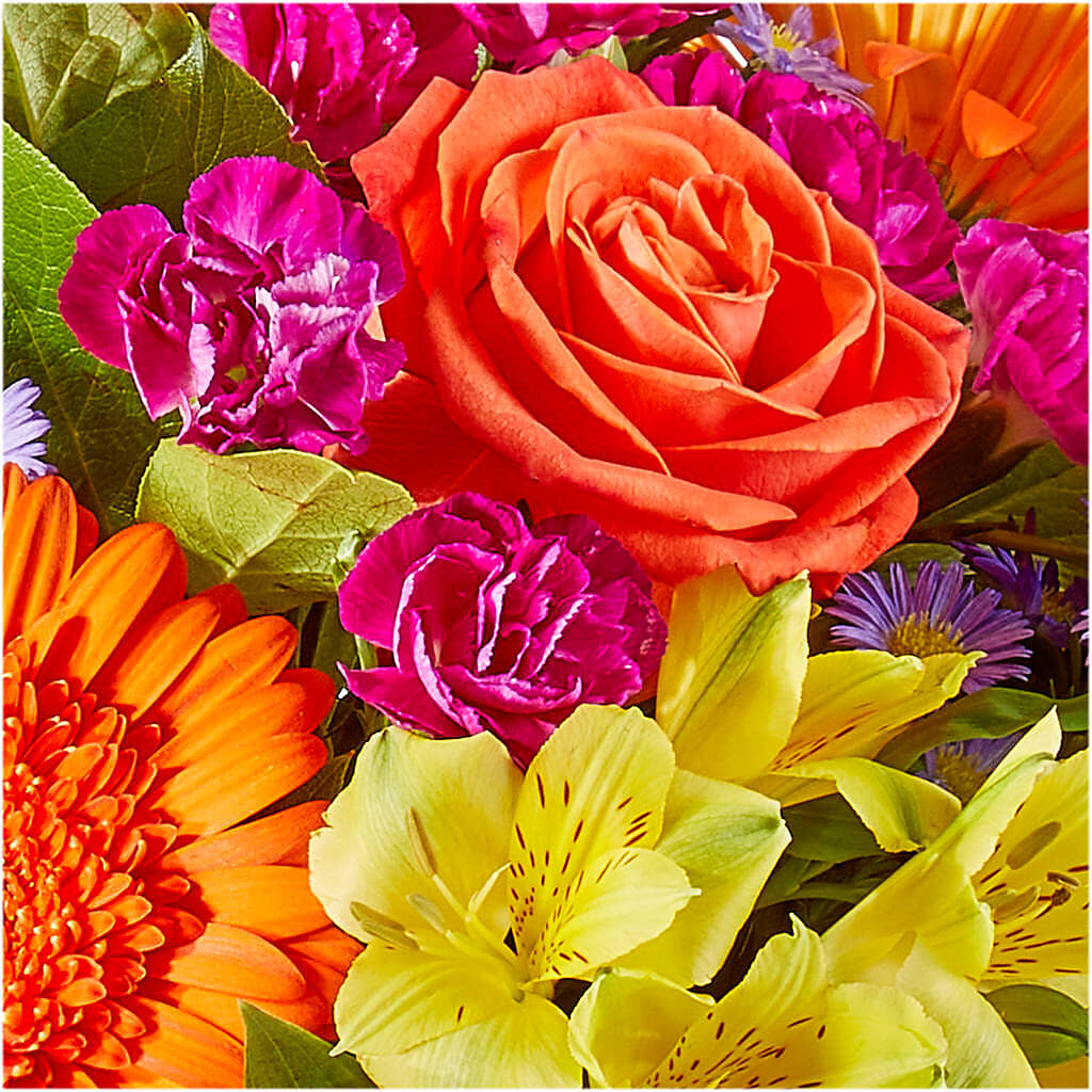 Tricks & Treats Pumpkin –  Oliverios Florist, Bridgeport WV