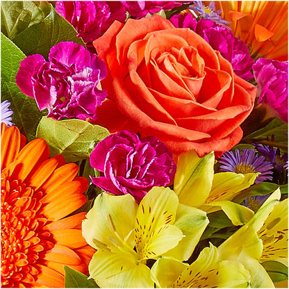 Tricks & Treats Pumpkin –  Oliverios Florist, Bridgeport WV