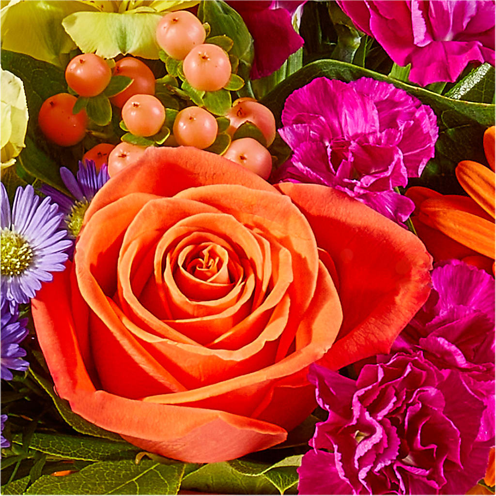 Tricks & Treats Pumpkin –  Oliverios Florist, Bridgeport WV