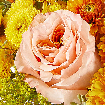 Peachy Pumpkin –  Oliverios Florist, Bridgeport WV