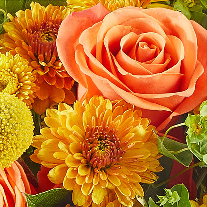 Gourdgeous Pumpkin –  Oliverios Florist, Bridgeport WV