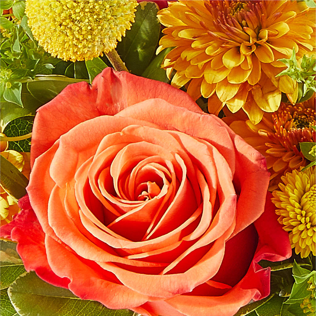 Gourdgeous Pumpkin –  Oliverios Florist, Bridgeport WV