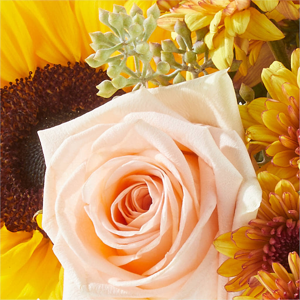 Pumpkin to Talk About Bouquet –  Oliverios Florist, Bridgeport WV