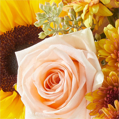 Pumpkin to Talk About Bouquet –  Oliverios Florist, Bridgeport WV