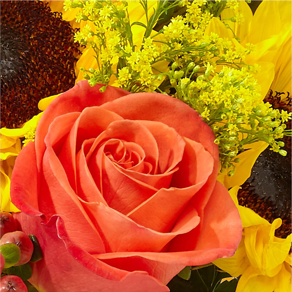 Pick of the Patch Pumpkin Bouquet –  Oliverios Florist, Bridgeport WV
