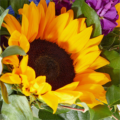 Catching Rays Bouquet –  Oliverios Florist, Bridgeport WV