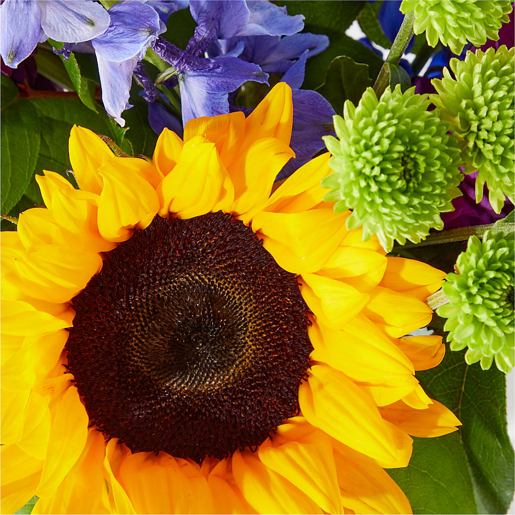Catching Rays Bouquet –  Oliverios Florist, Bridgeport WV
