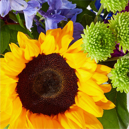 Catching Rays Bouquet –  Oliverios Florist, Bridgeport WV