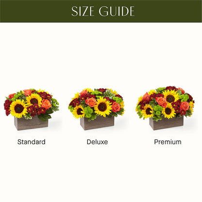 Happy Harvest Garden –  Oliverios Florist, Bridgeport WV