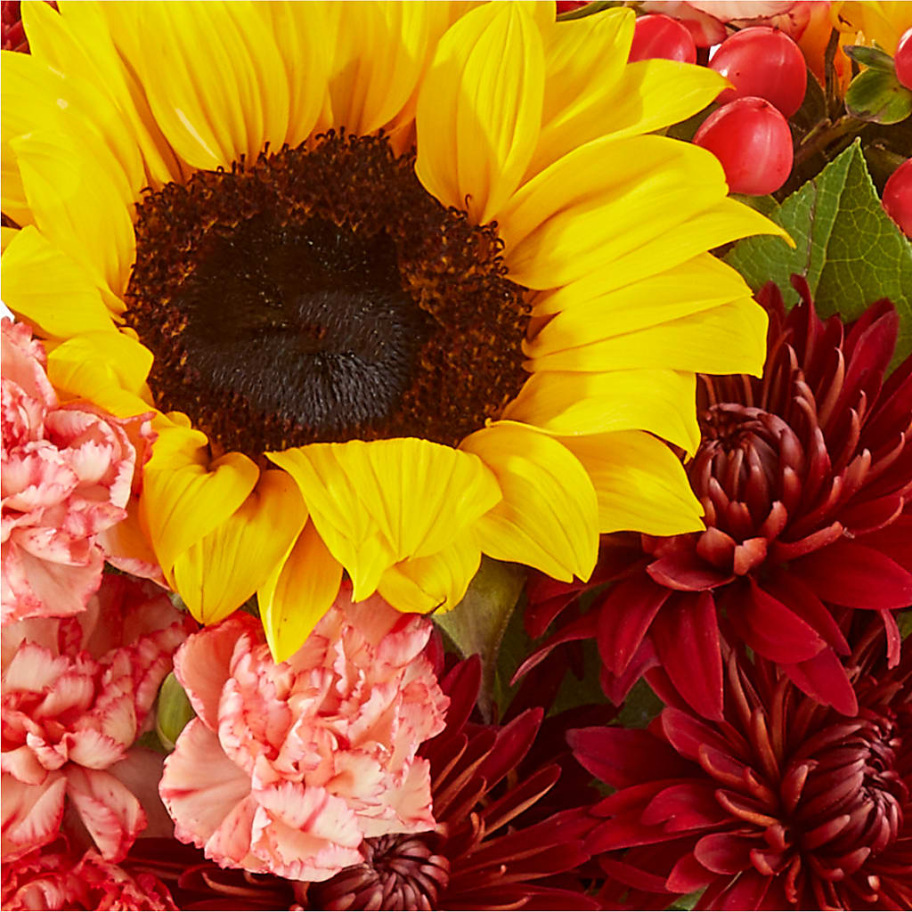 Fresh Cider Bouquet –  Oliverios Florist, Bridgeport WV