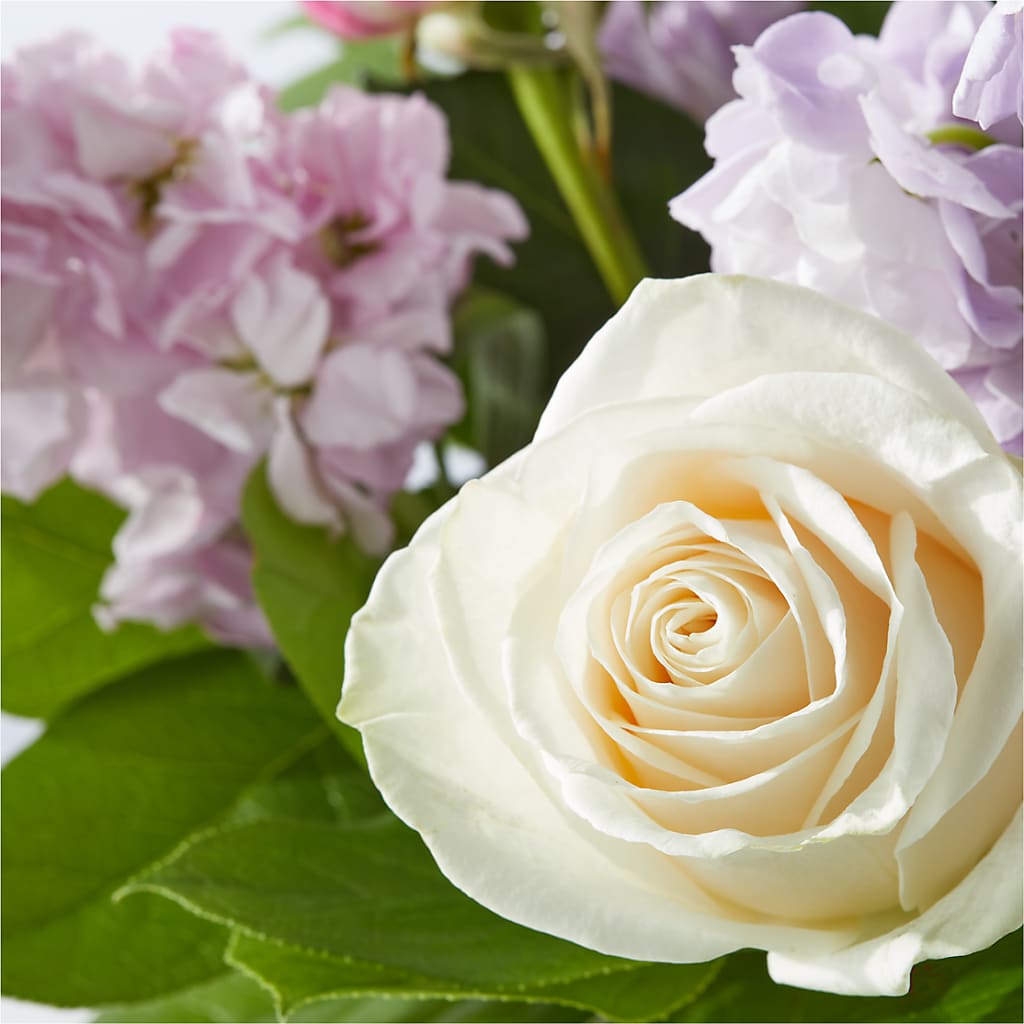 Springtime Spritz Bouquet –  Oliverios Florist, Bridgeport WV