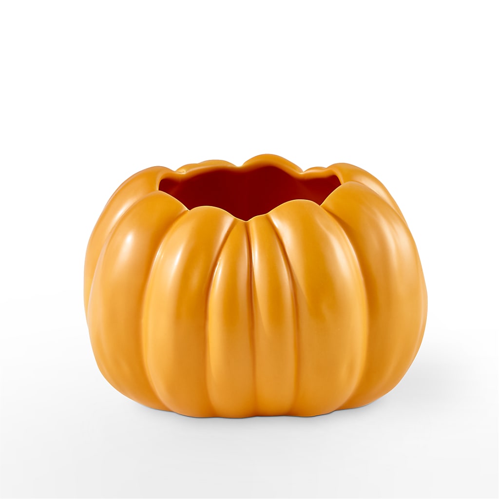Pick of the Patch Pumpkin Bouquet –  Oliverios Florist, Bridgeport WV