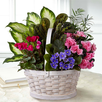 Peaceful Garden Planter –  Oliverios Florist, Bridgeport WV