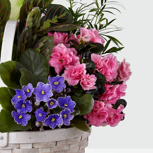 Peaceful Garden Planter –  Oliverios Florist, Bridgeport WV