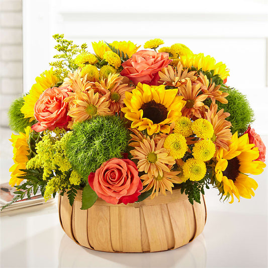 Harvest Sunflower Basket –  Oliverios Florist, Bridgeport WV