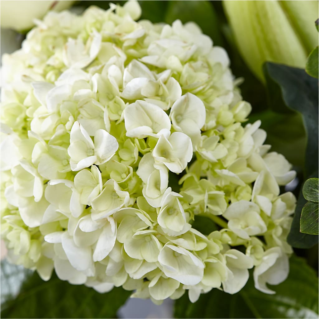 Classic Ivory – A Florist Original –  Oliverios Florist, Bridgeport WV