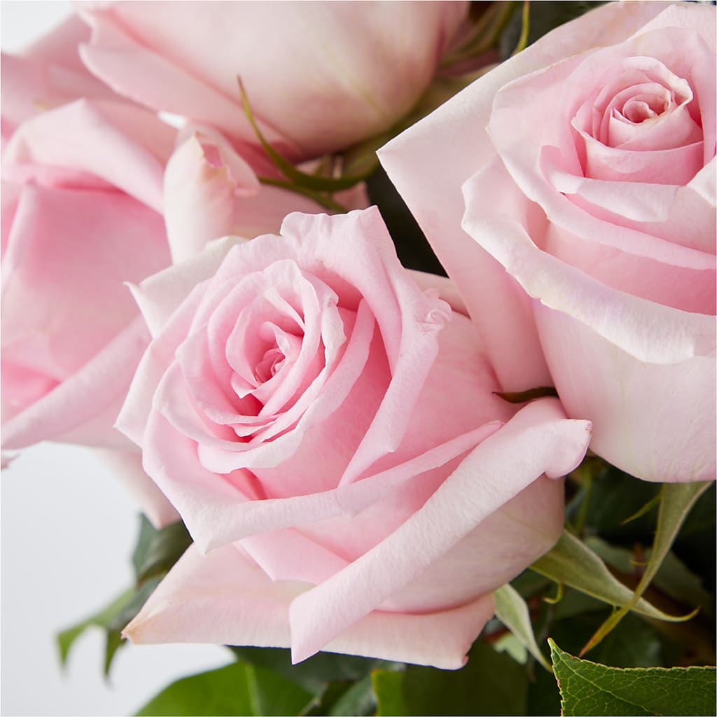 Picture Perfect Pink Rose Bouquet –  Oliverios Florist, Bridgeport WV