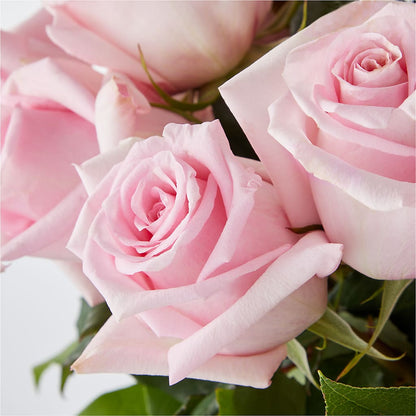 Picture Perfect Pink Rose Bouquet –  Oliverios Florist, Bridgeport WV
